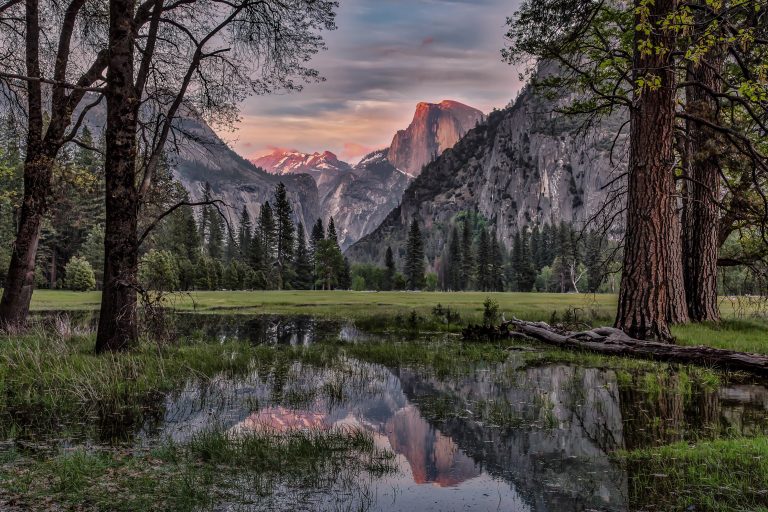 Leidig Meadows, Yosemite
